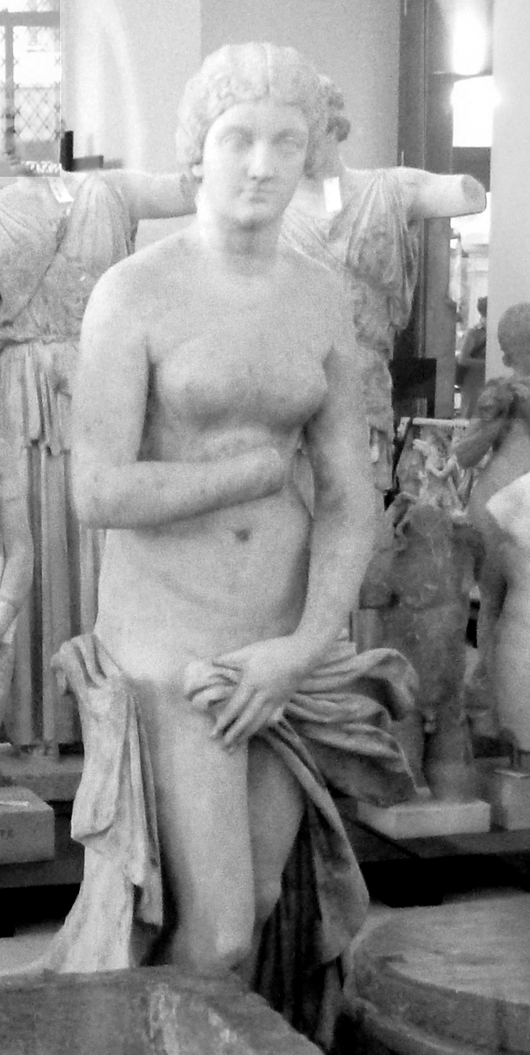 Venus Lucilla